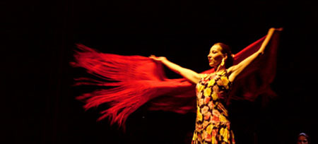 (c) Flamencostudio.ch