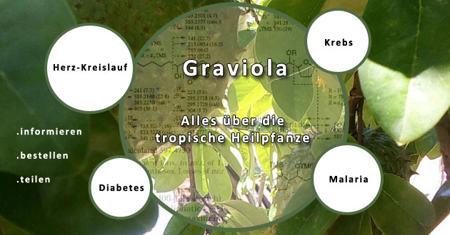 (c) Graviola-kampagne.org