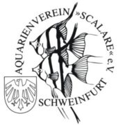 (c) Aquarienverein-scalare.de