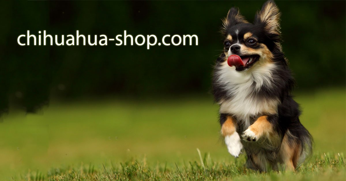 (c) Chihuahua-shop.com