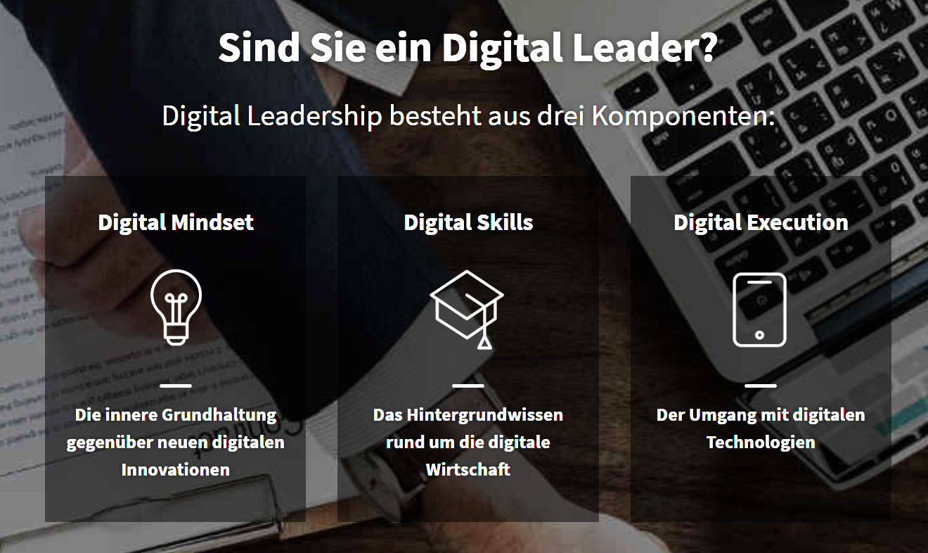 (c) Digital-leadership-index.de