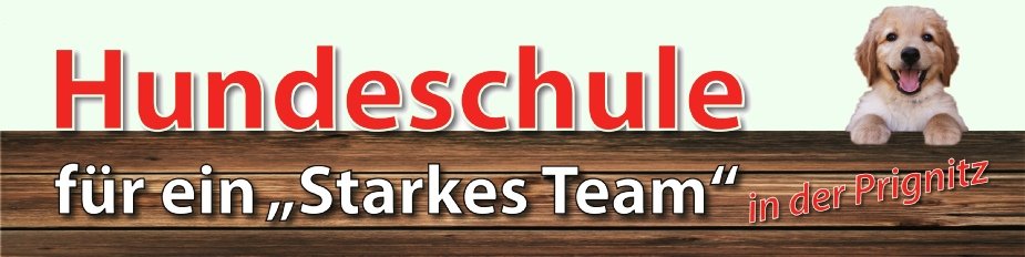 (c) Hundeschule-starkes-team.de