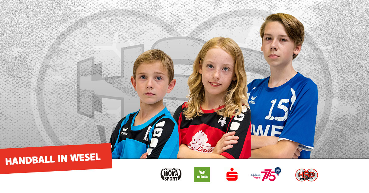 (c) Handballinwesel.de