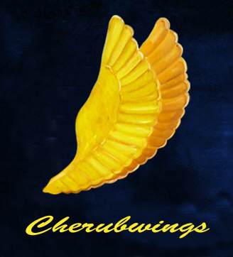 (c) Cherubwings.ch