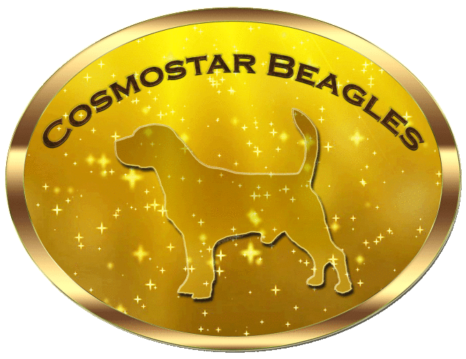 (c) Cosmostar-beagles.de
