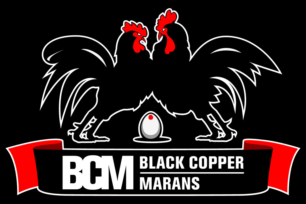 (c) Blackcoppermarans.at