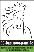 (c) Ig-dartmoor-pony.de