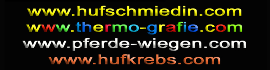 (c) Hufschmiedin.com