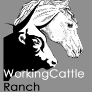 (c) Working-cattle-ranch.at
