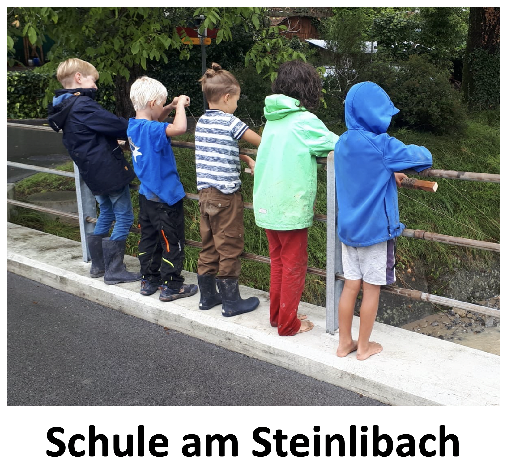 (c) Steinlibach.ch