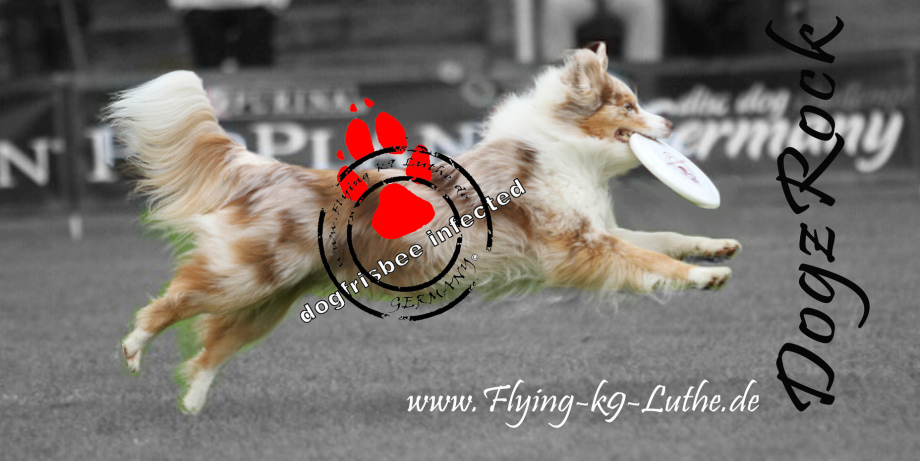 (c) Flying-k9-luthe.de