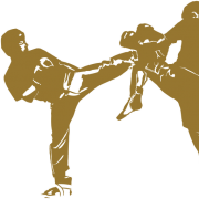 (c) Kickboxing-sambo-combat-koblenz.com