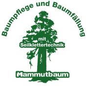(c) Mammutbaum-leese.de