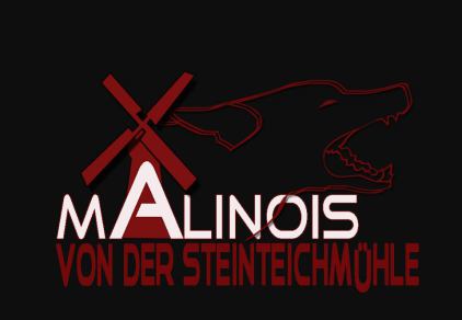 (c) K9-malinois.de
