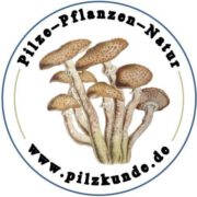 (c) Pilzschule-schwaebischer-wald.de