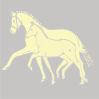 (c) Pferdezuchtverein-osthessen.de