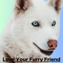 (c) Loveyourfurryfriend.com