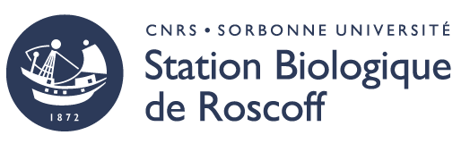 (c) Sb-roscoff.fr