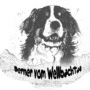 (c) Berner-vom-wellbachtal.de