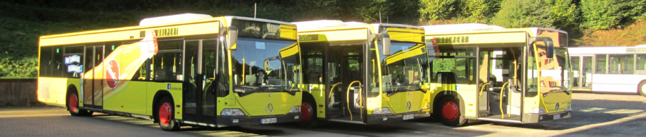 (c) Wolpert-bus.de
