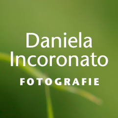 (c) Daniela-incoronato.de