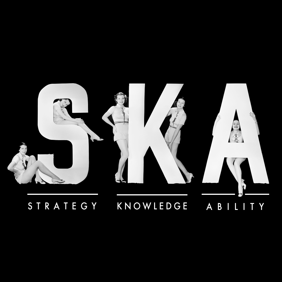 (c) Ska-network.com