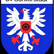 (c) Sv-schlierstadt.de