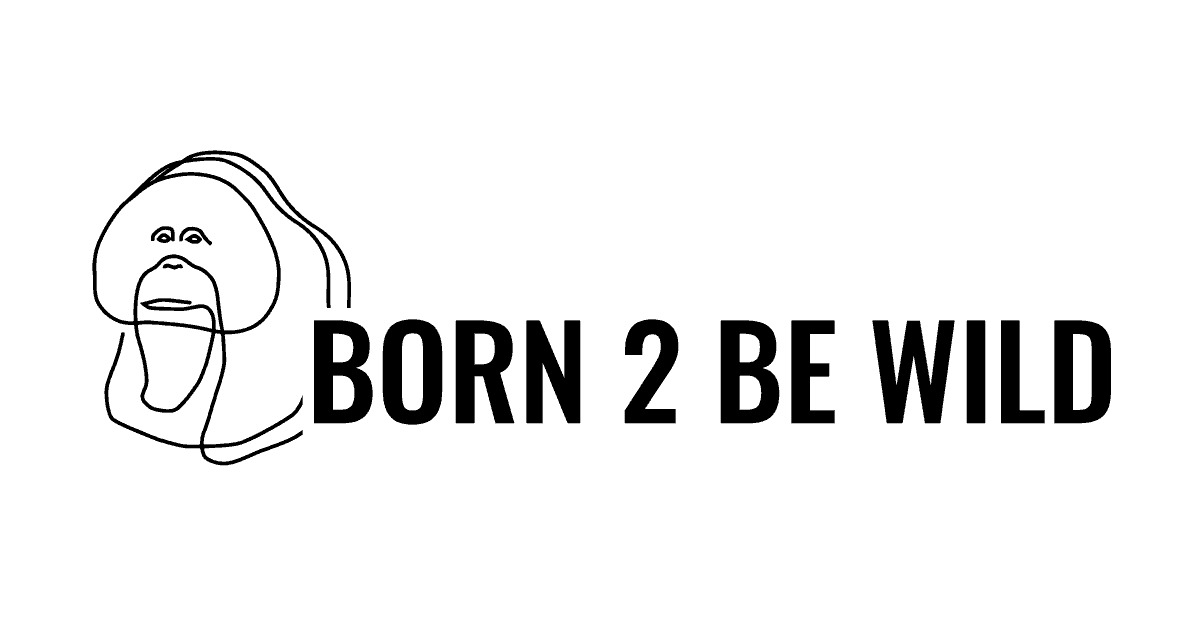(c) Born2bewild.org