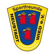 (c) Sfneustadt-handball.de