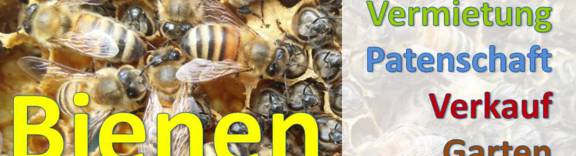 (c) Bienenpatenschaft.at