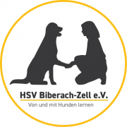 (c) Hsv-biberach-zell.de