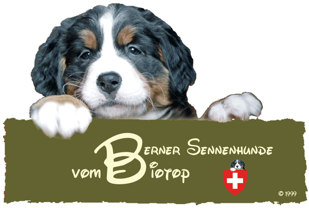 (c) Berner-sennen-hund.de