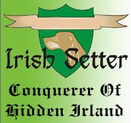 (c) Irish-setter-red.com
