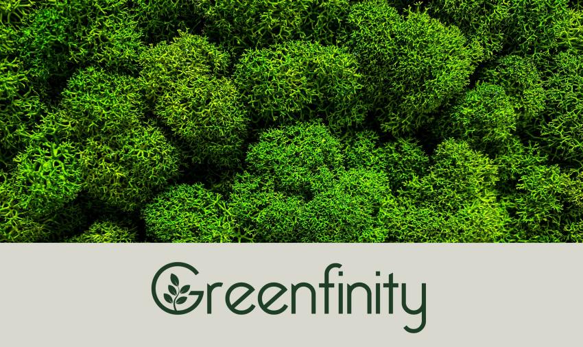 (c) Greenfinity.ch