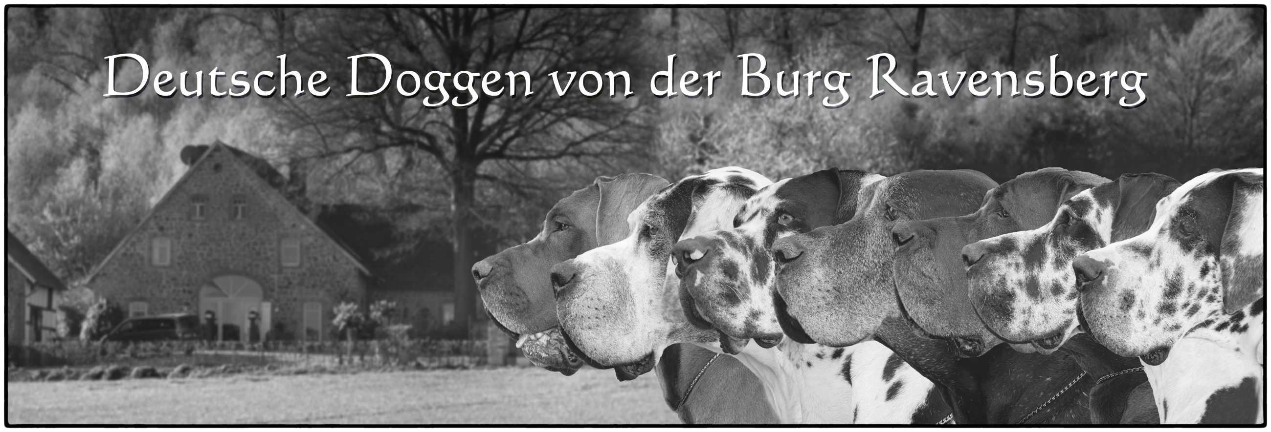 (c) Burgravensbergdoggen.de