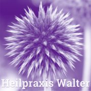 (c) Heilpraxis-walter.de