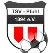 (c) Tsv-pfuhl-fussball.de