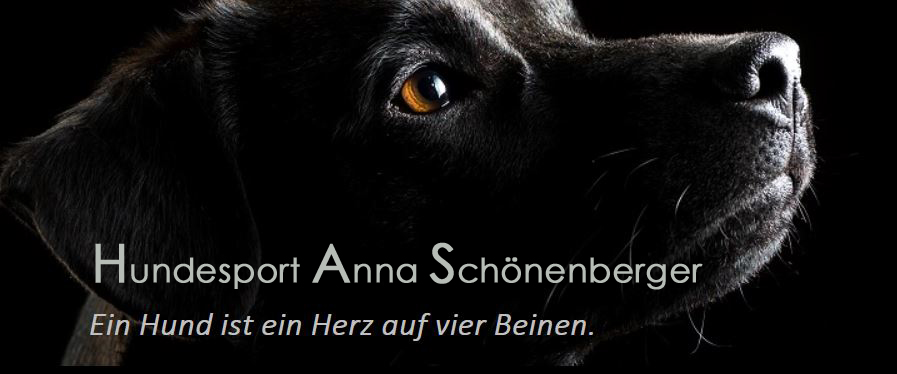 (c) Hundesport-as.ch