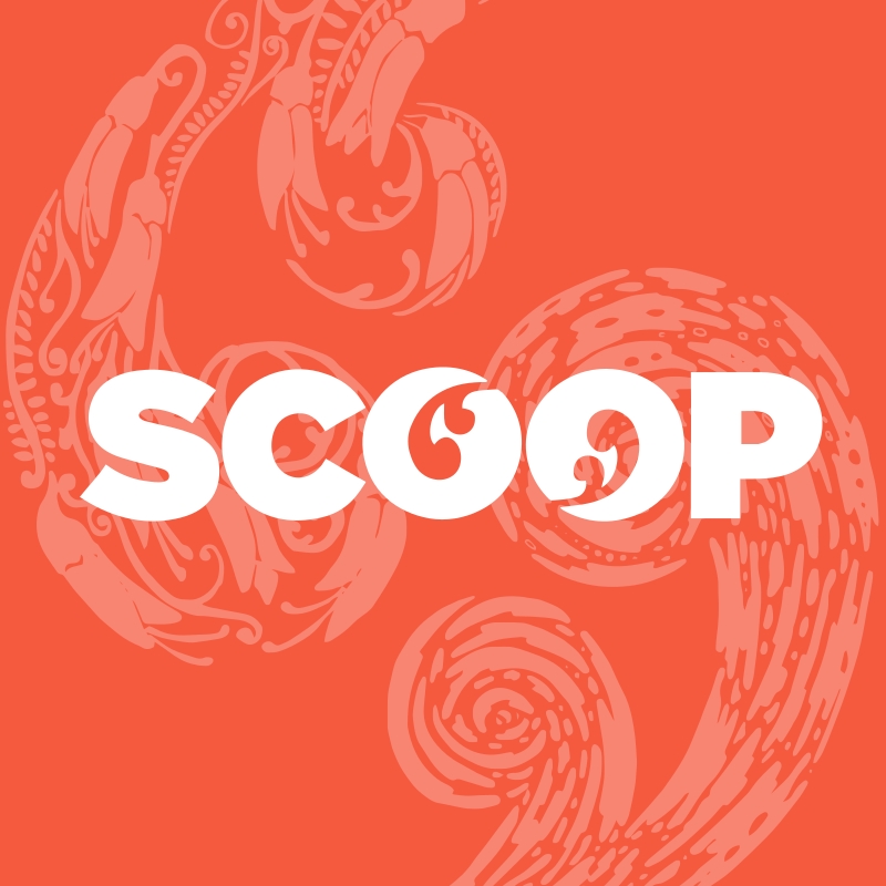 (c) Scoop.co.nz
