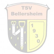 (c) Tsv-bellersheim.de