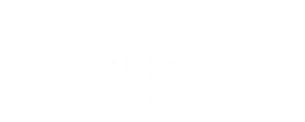 (c) Steinermaskenbaelle.ch