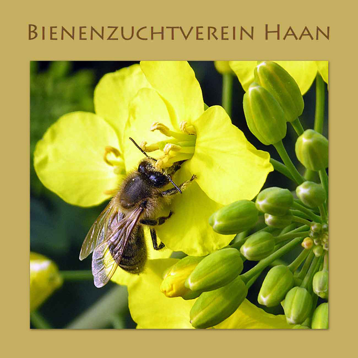 (c) Bienenzuchtverein-haan.de