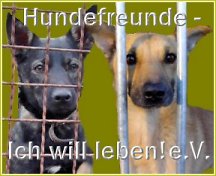 (c) Hundefreunde-ich-will-leben.org