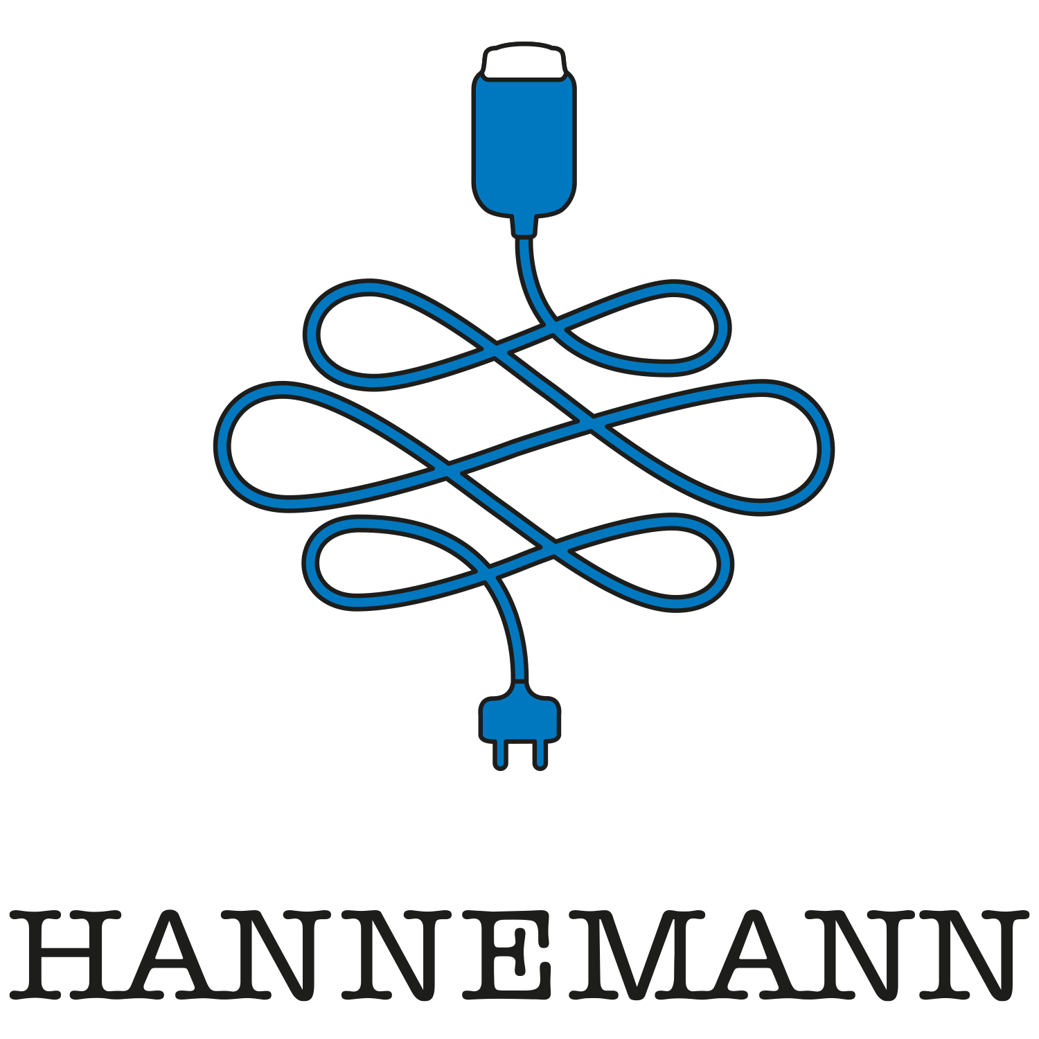 (c) Hannemann-luebeck.de