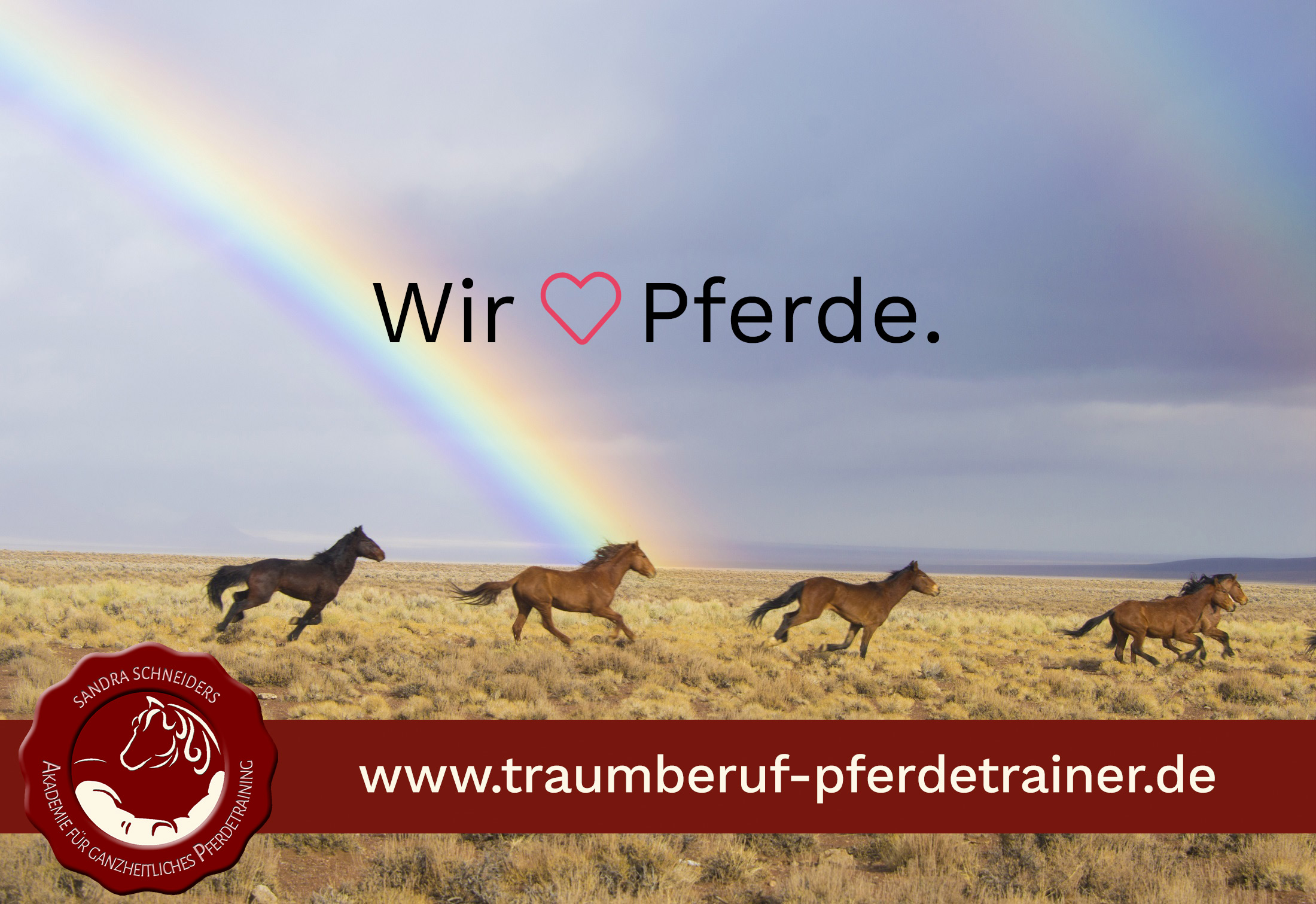 (c) Traumberuf-pferdetrainer.de