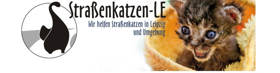(c) Strassenkatzen-le.de