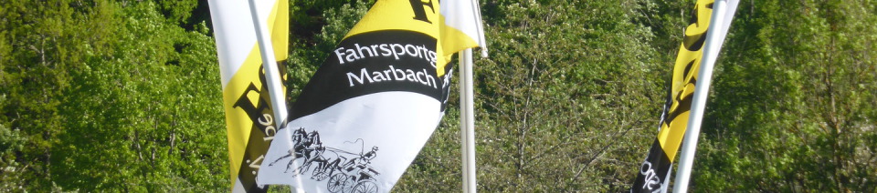 (c) Fahrsportgruppe-marbach.de