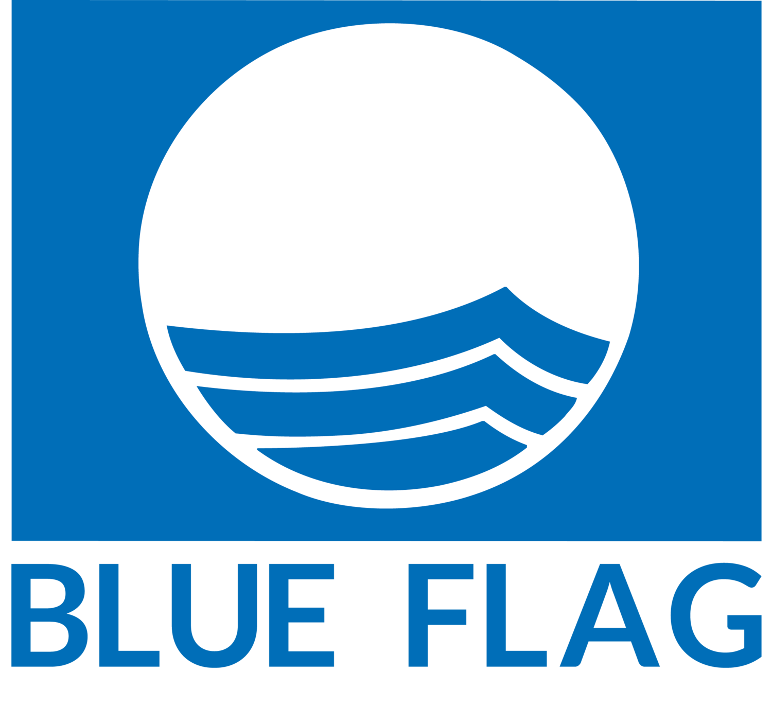 (c) Blueflag.global