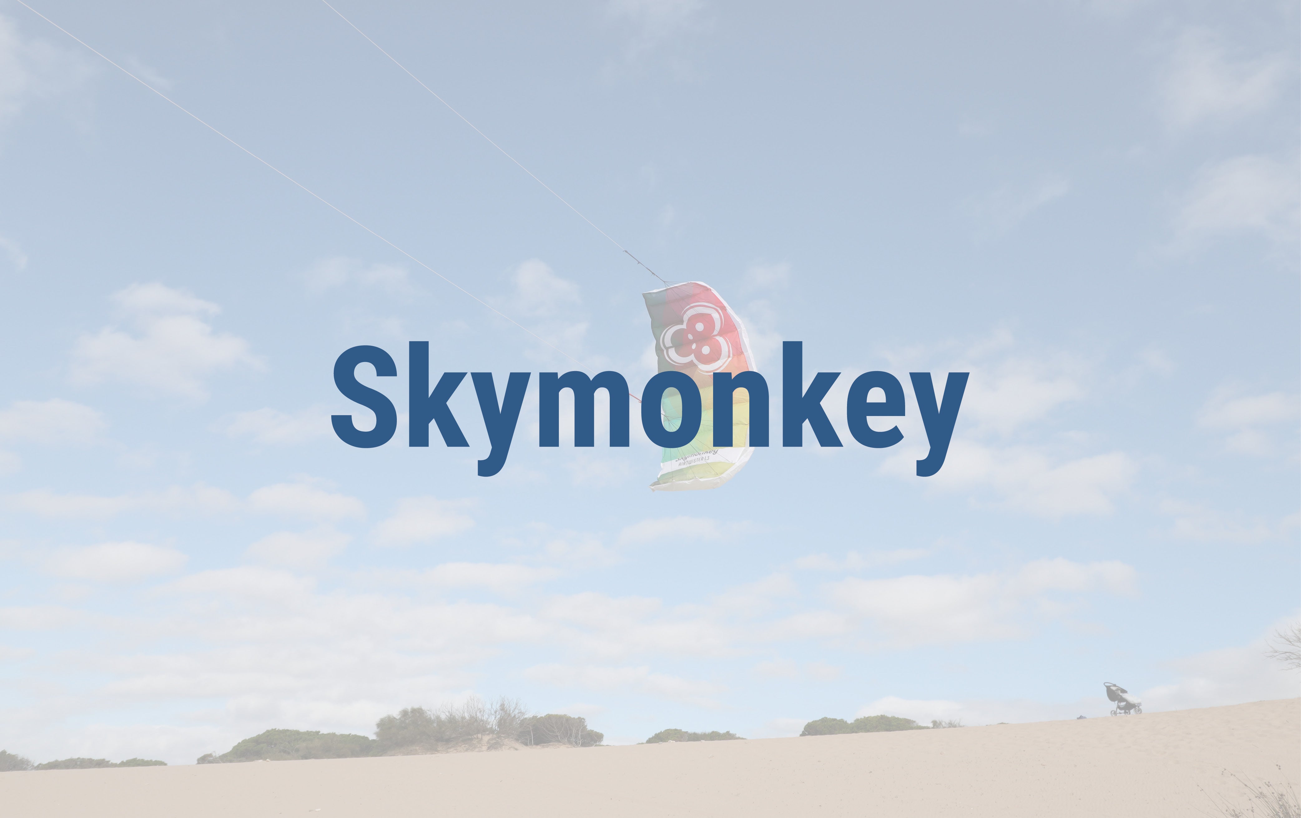 (c) Skymonkey.de