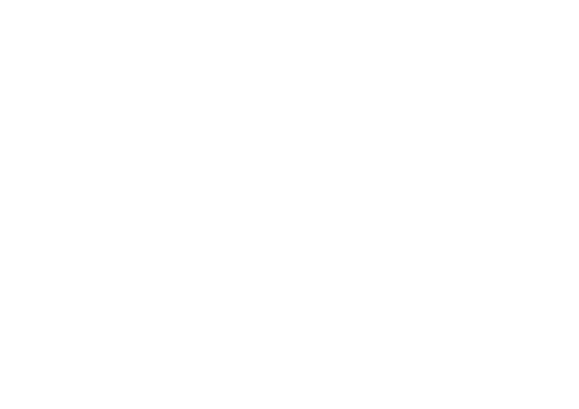 (c) Morgantini.de